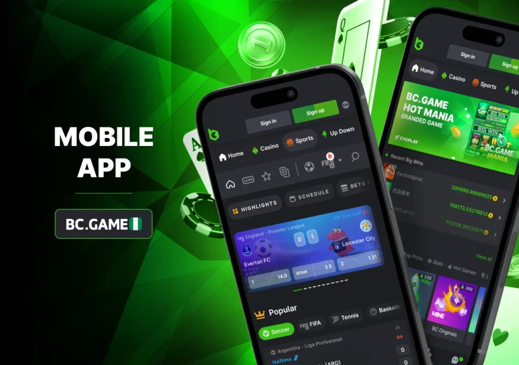 The mobile app of the popular BC Game casino